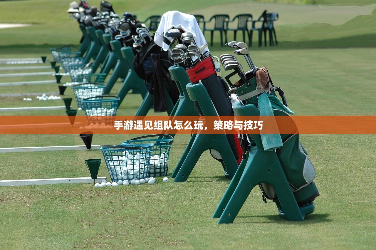 手游遇见组队怎么玩，策略与技巧