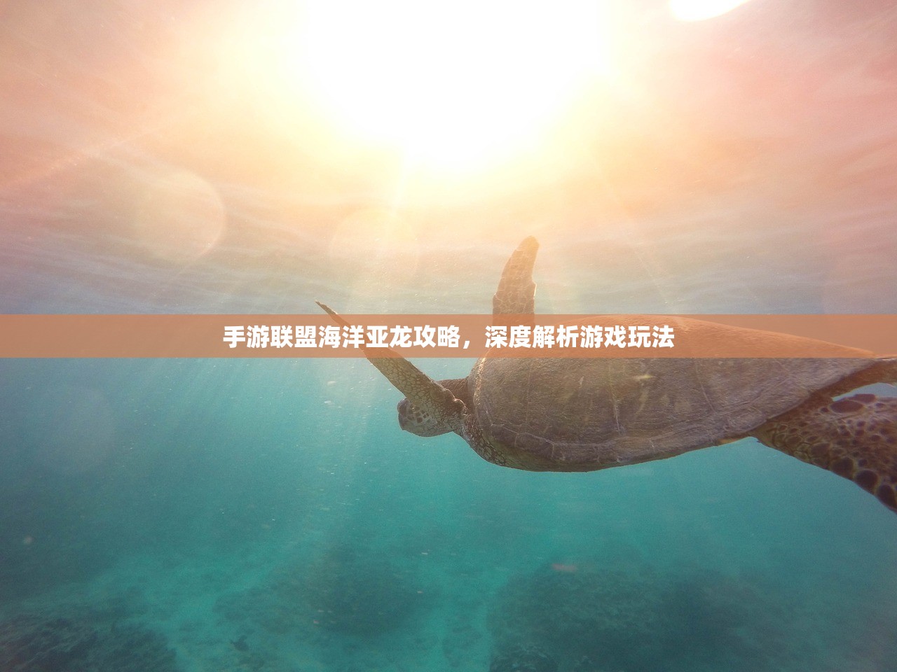 手游联盟海洋亚龙怎么玩—深入解析与攻略