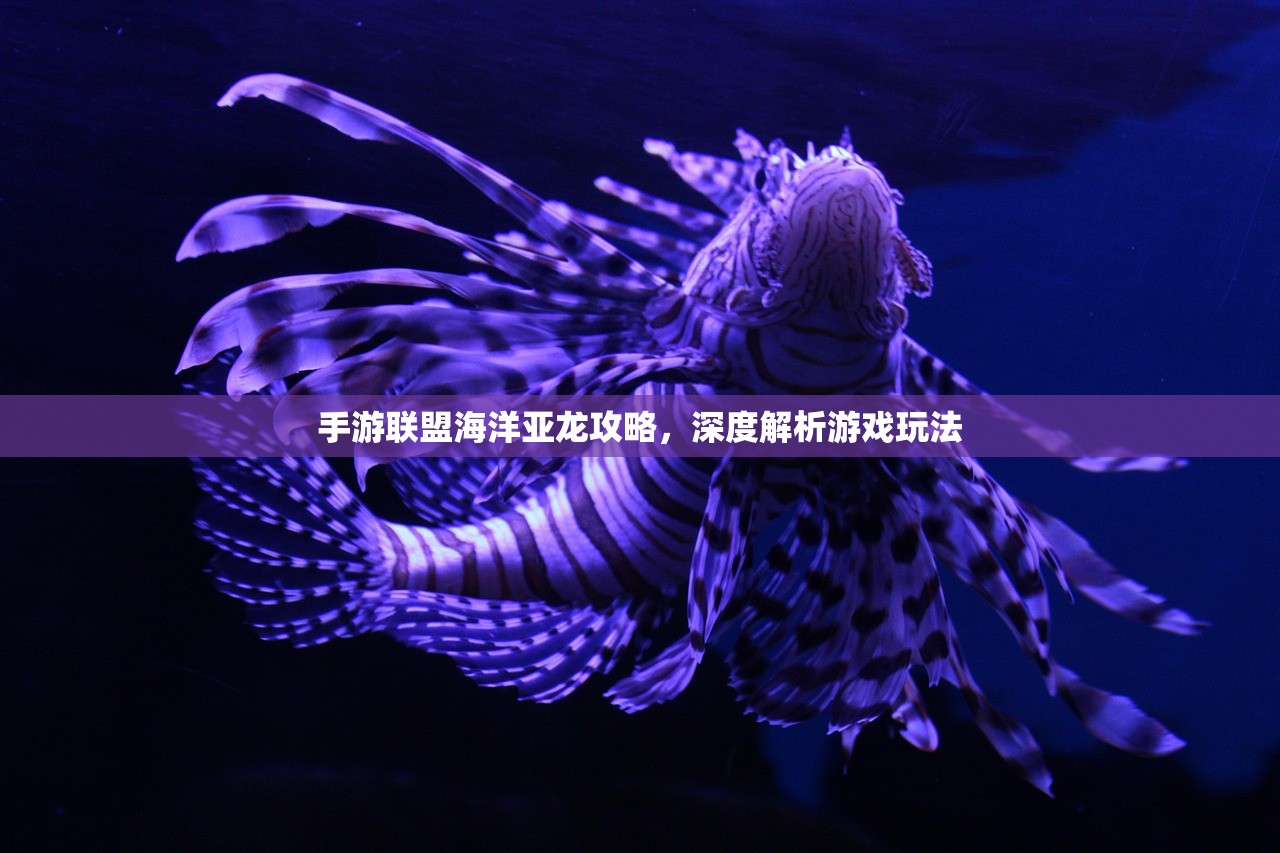 手游联盟海洋亚龙攻略，深度解析游戏玩法