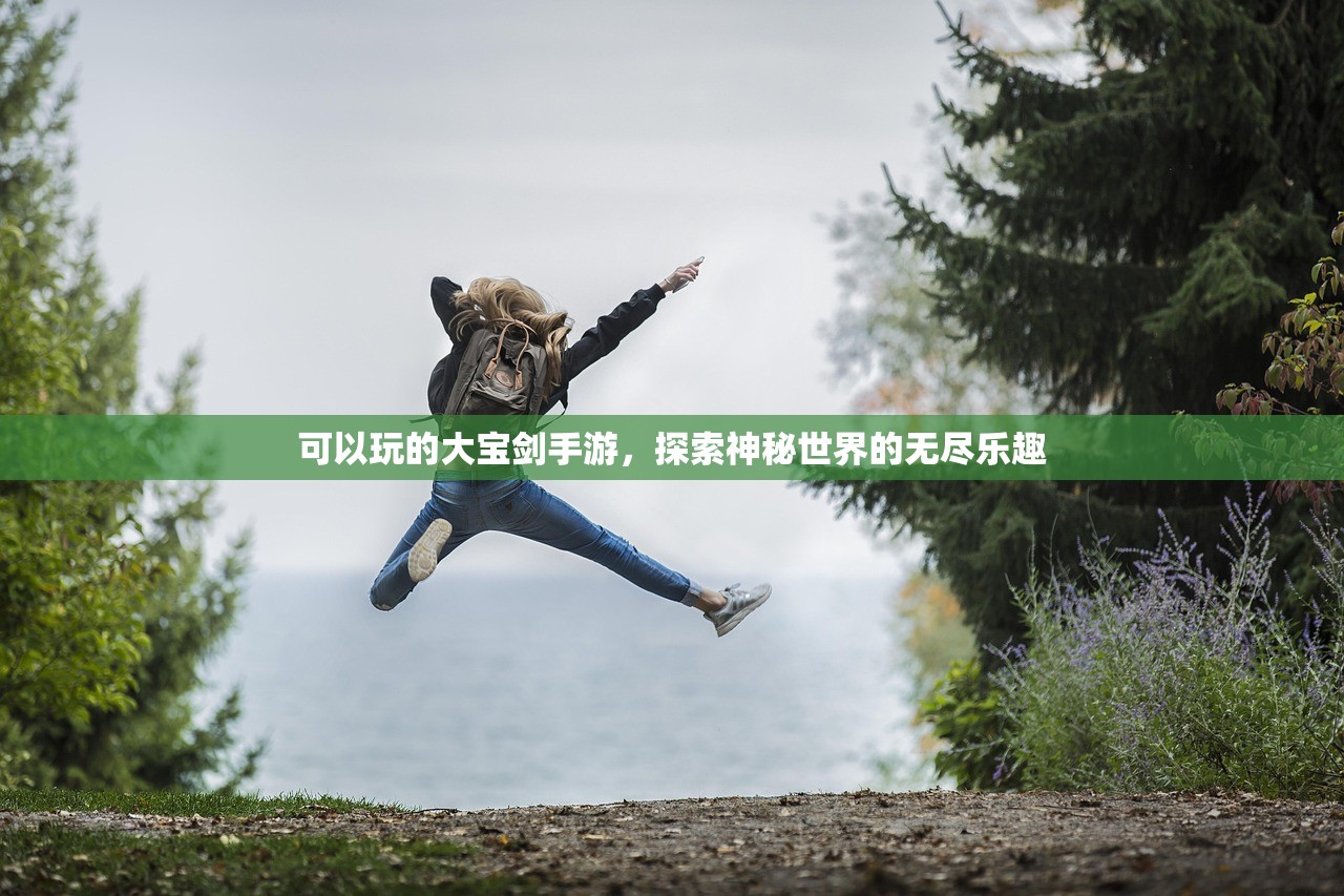 可以玩的大宝剑手游，探索神秘世界的无尽乐趣