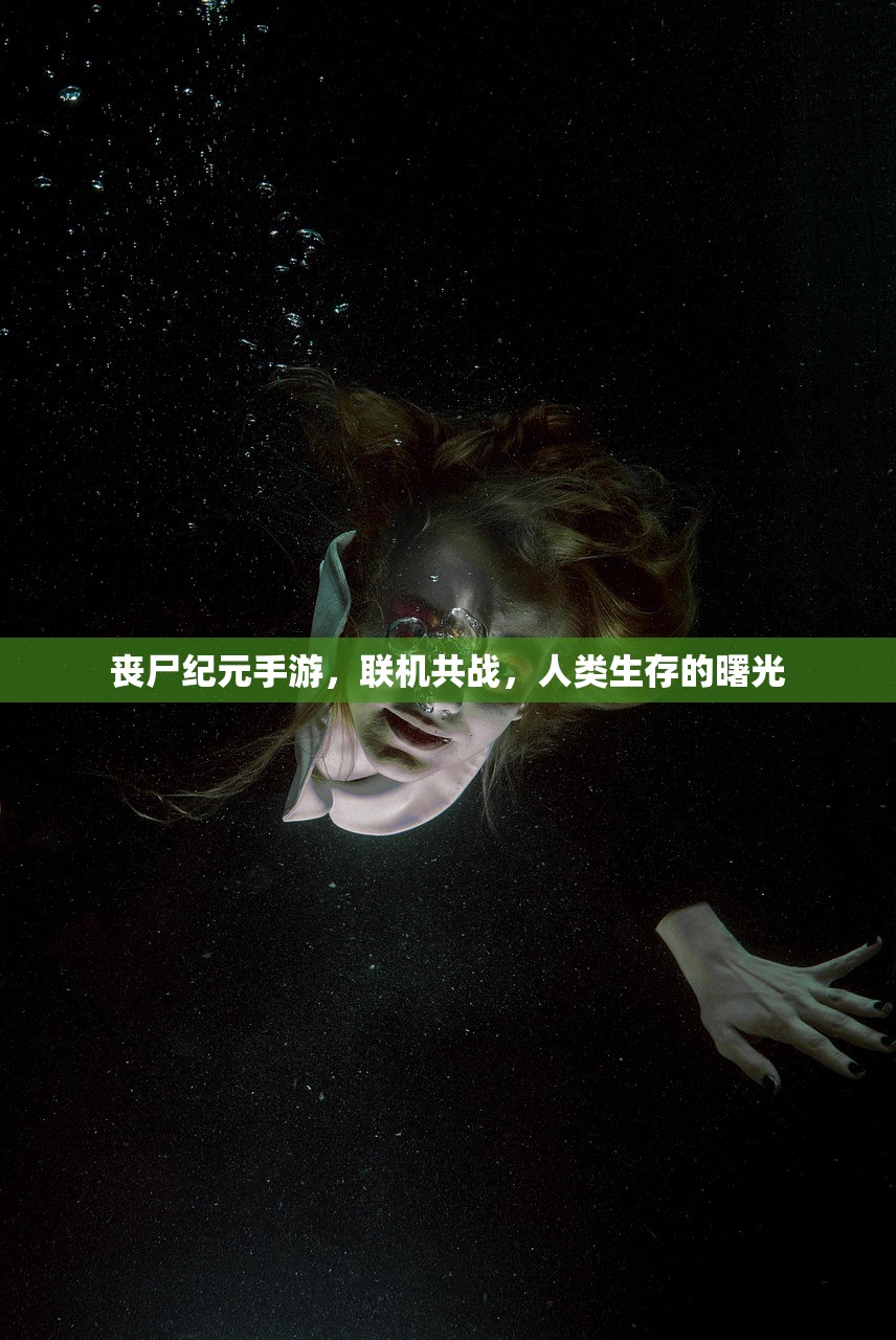 云顶手游突然无法游玩，问题解析与解决方案