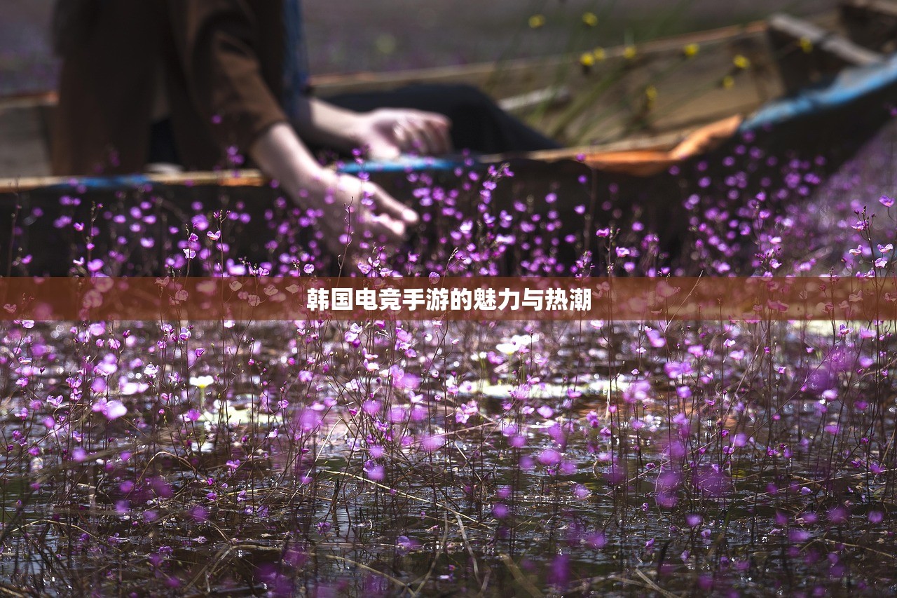 韩国电竞手游的魅力与热潮