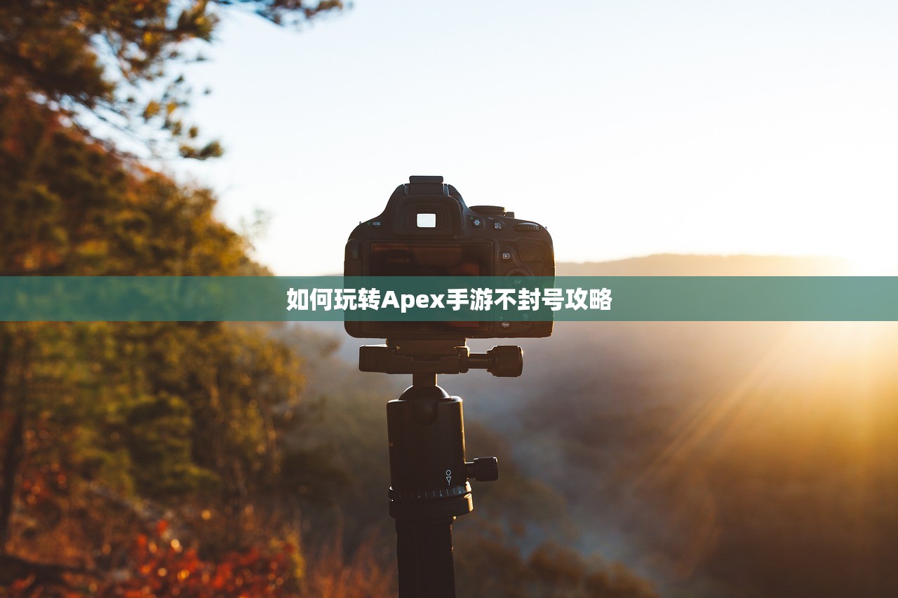 如何玩转Apex手游不封号攻略