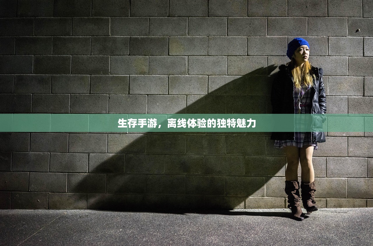 梦幻手游与端游的完美结合，玩转梦幻世界的攻略指南