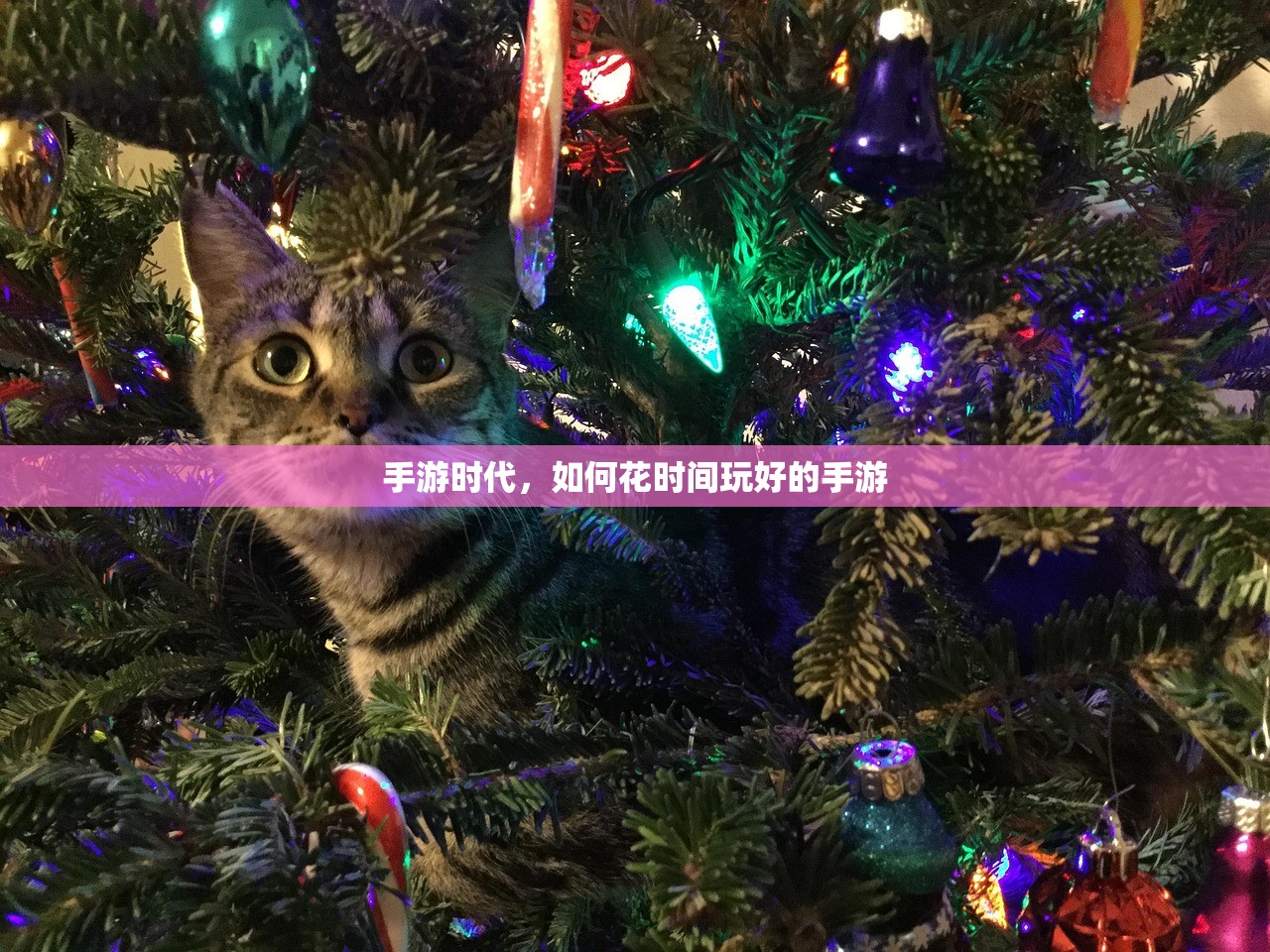 手游剑圣双刀攻略，玩转剑术巅峰