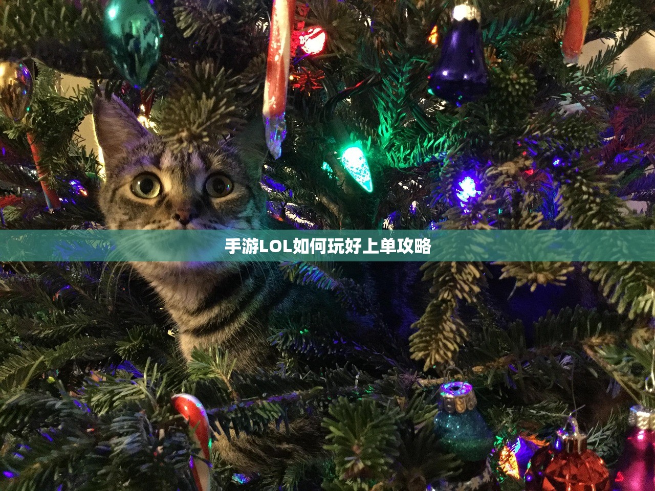 骁龙821在CF手游中的卓越表现