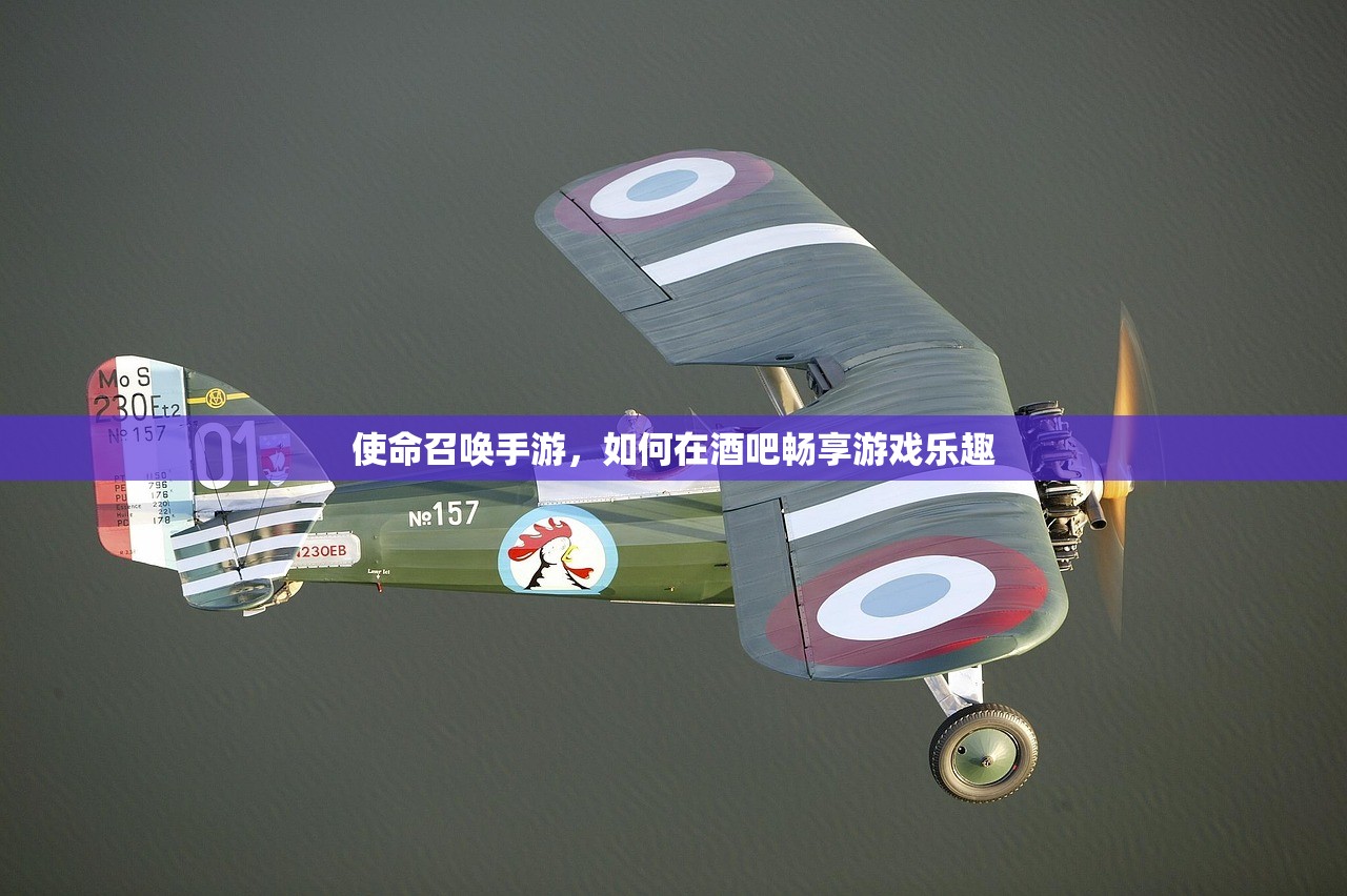 使命召唤手游，如何在酒吧畅享游戏乐趣