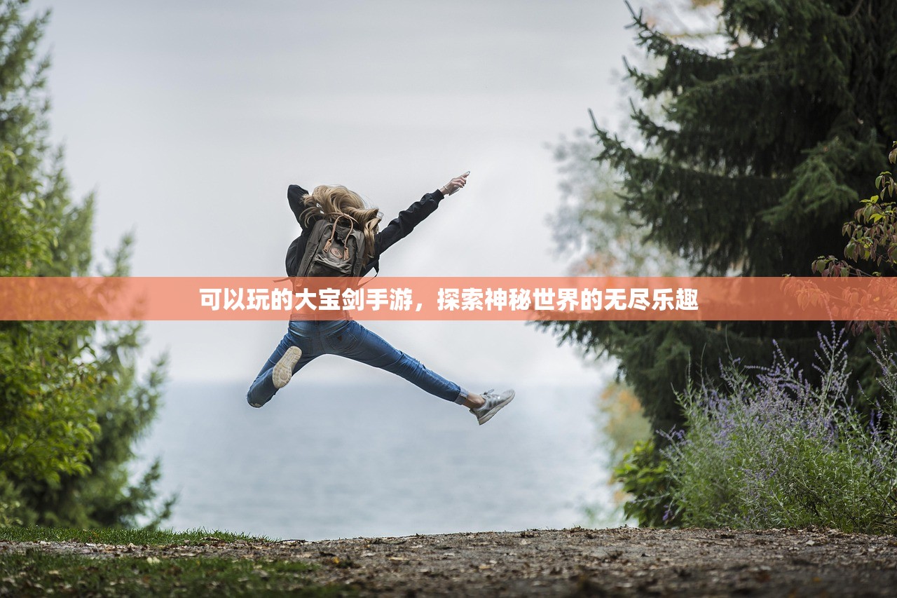 可以玩的大宝剑手游，探索神秘世界的无尽乐趣