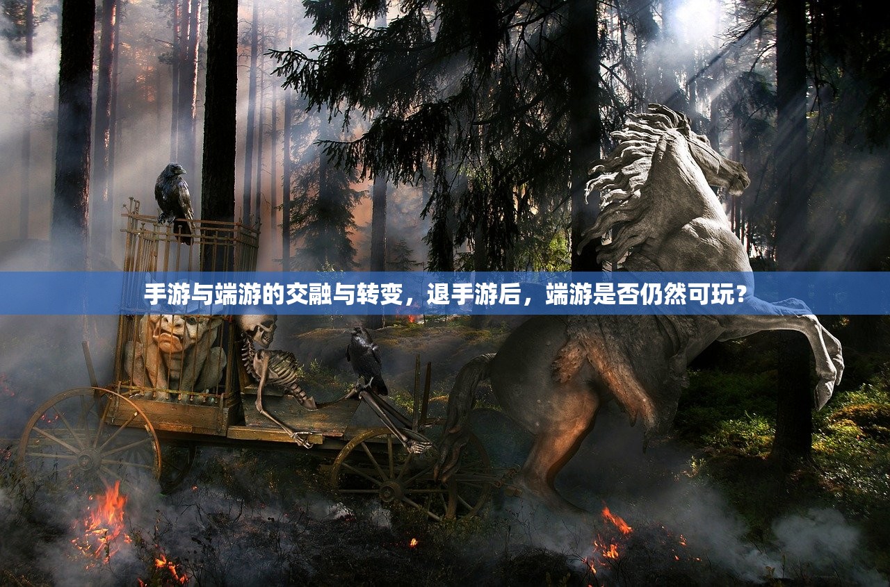 玩转美服手游端游版，深度攻略与体验分享