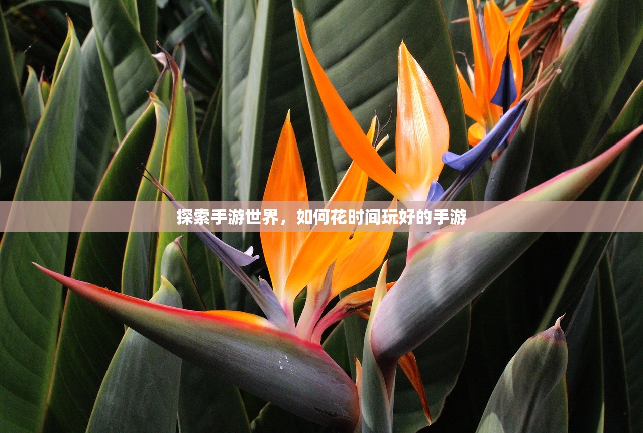 探索手游世界，如何花时间玩好的手游