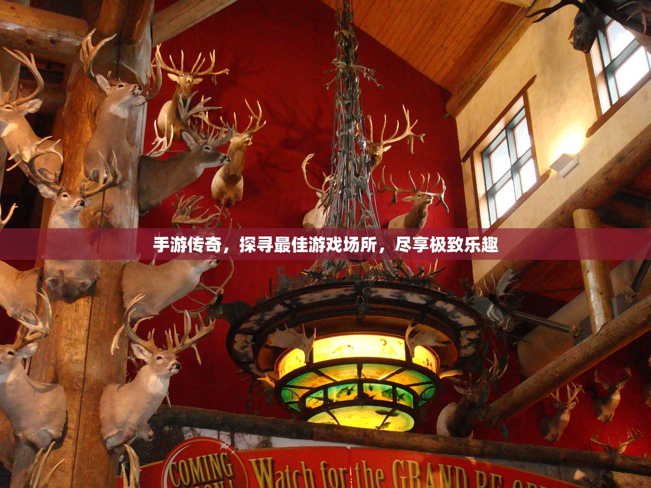 手游传奇，探寻最佳游戏场所，尽享极致乐趣