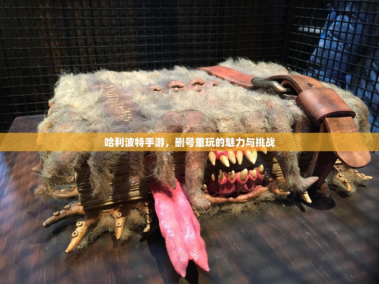 哈利波特手游，删号重玩的魅力与挑战
