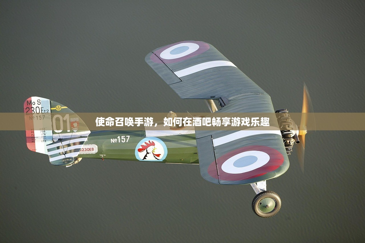 使命召唤手游，如何在酒吧畅享游戏乐趣