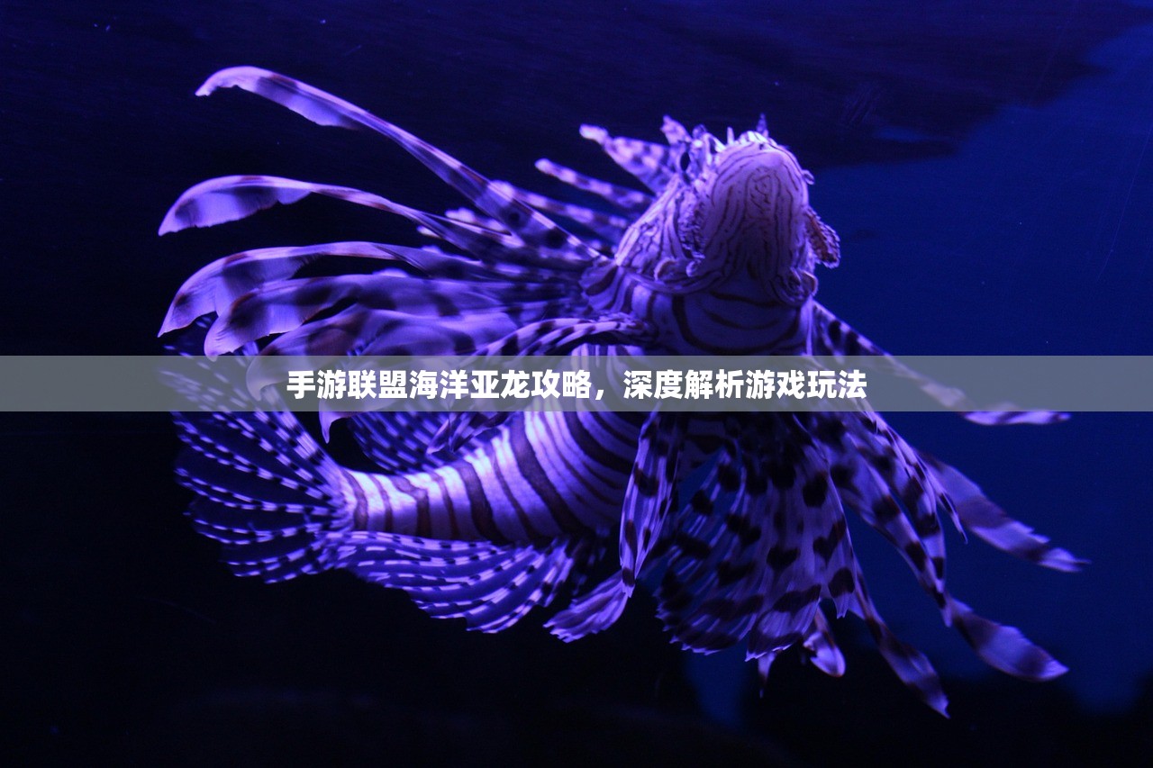 手游联盟海洋亚龙攻略，深度解析游戏玩法