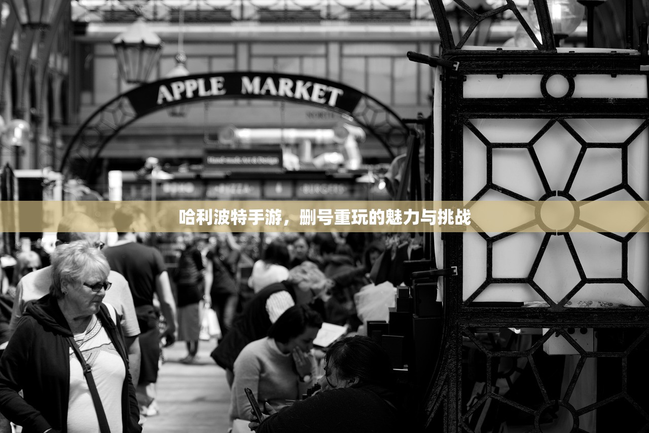 哈利波特手游，删号重玩的魅力与挑战