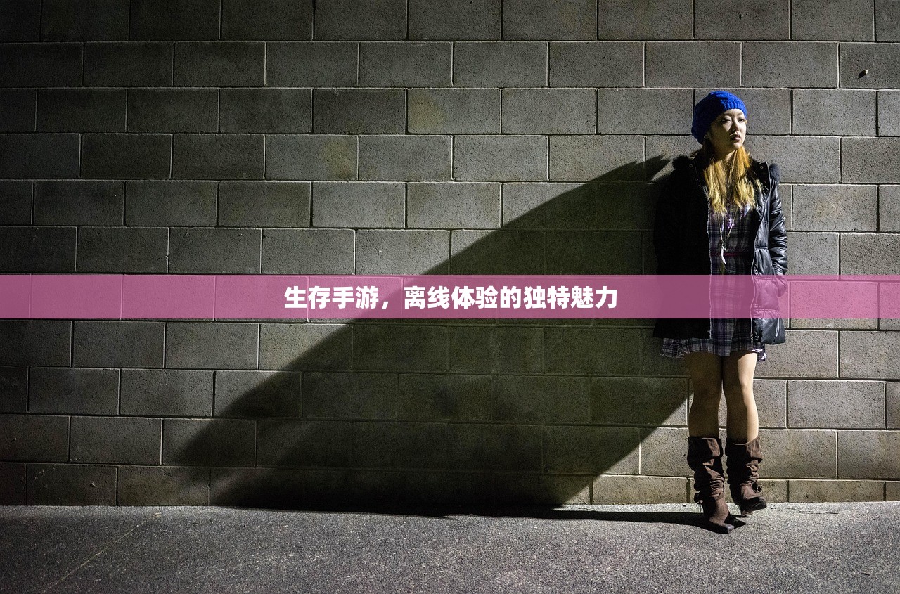 生存手游，离线体验的独特魅力
