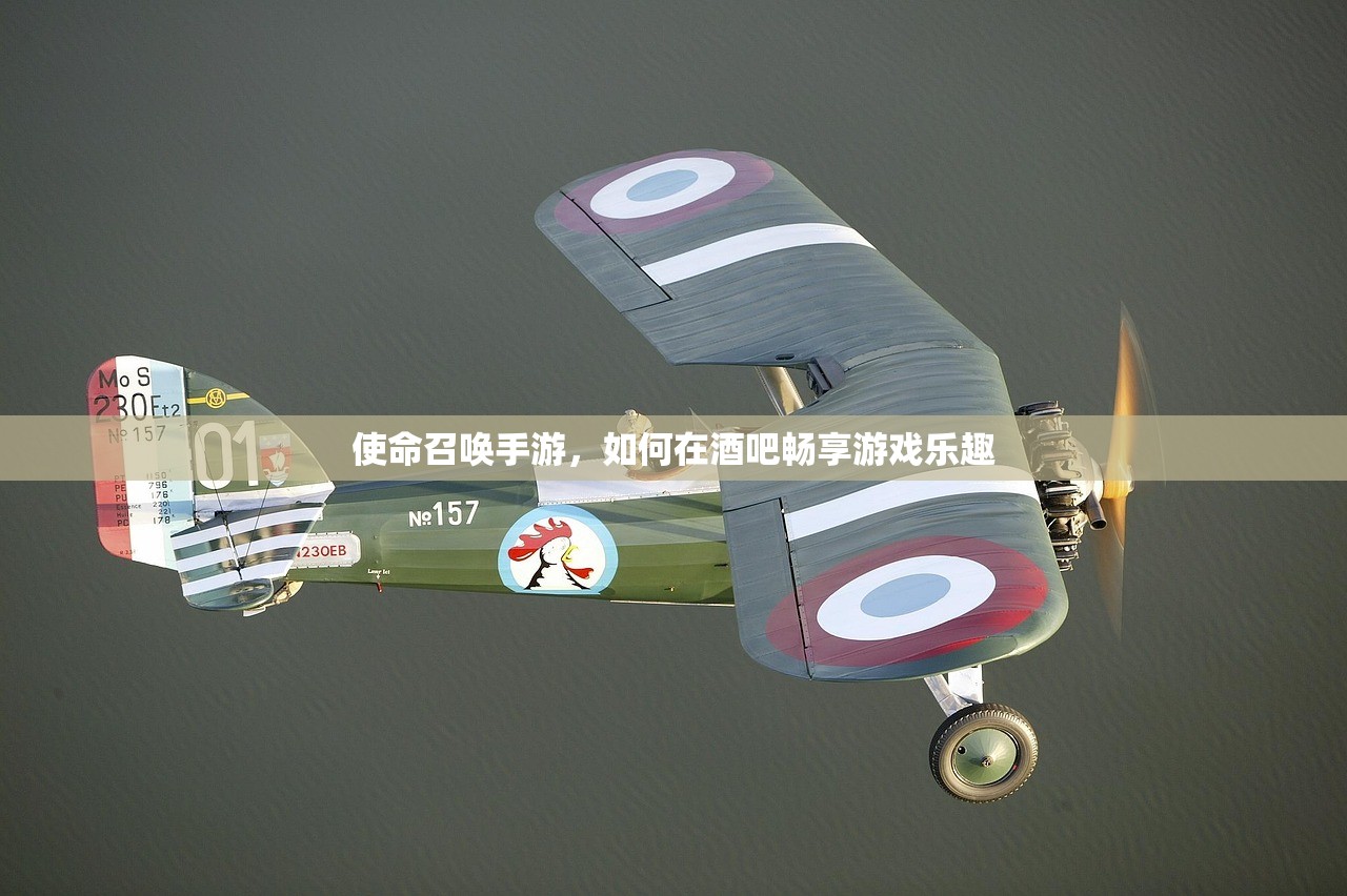 使命召唤手游，如何在酒吧畅享游戏乐趣
