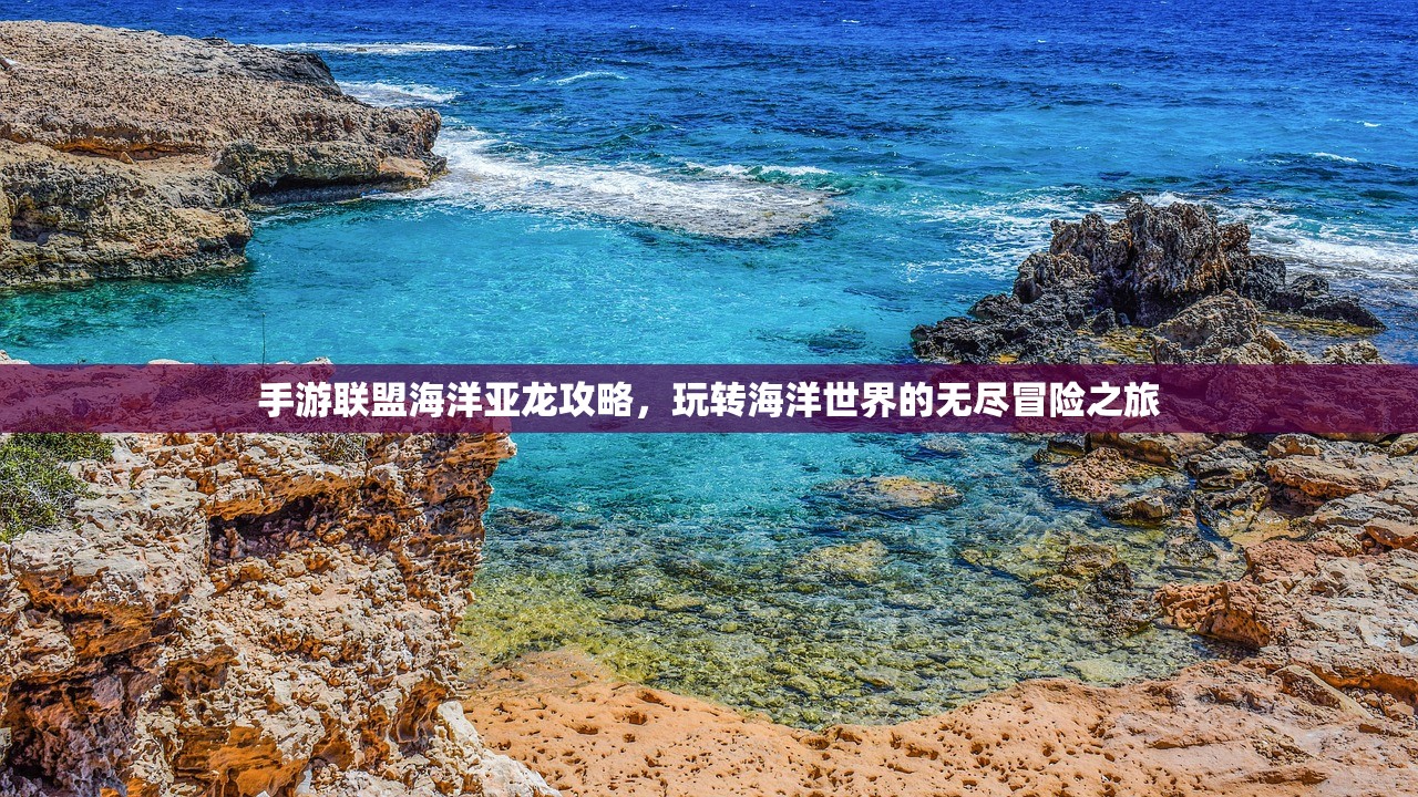手游联盟海洋亚龙攻略，玩转海洋世界的无尽冒险之旅