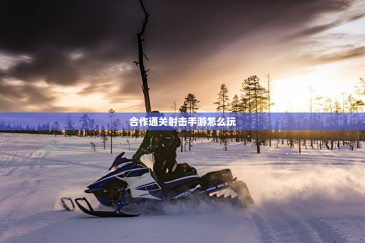 手游加里奥支援攻略，如何玩转加里奥角色