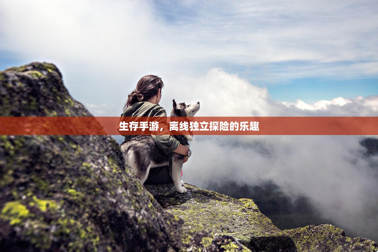 生存手游，离线独立探险的乐趣