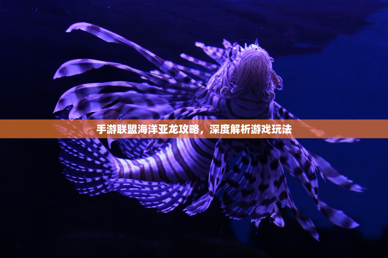 手游联盟海洋亚龙攻略，深度解析游戏玩法