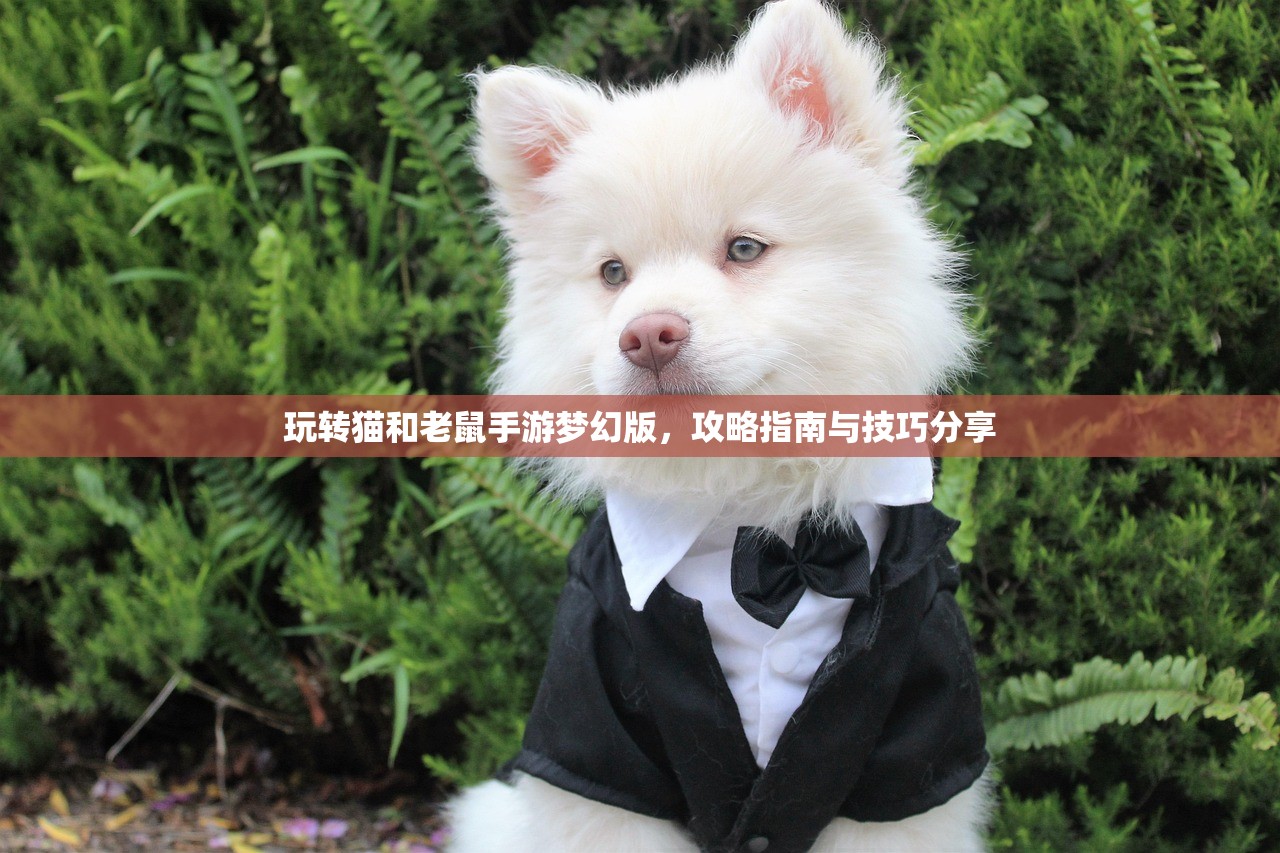玩转猫和老鼠手游梦幻版，攻略指南与技巧分享