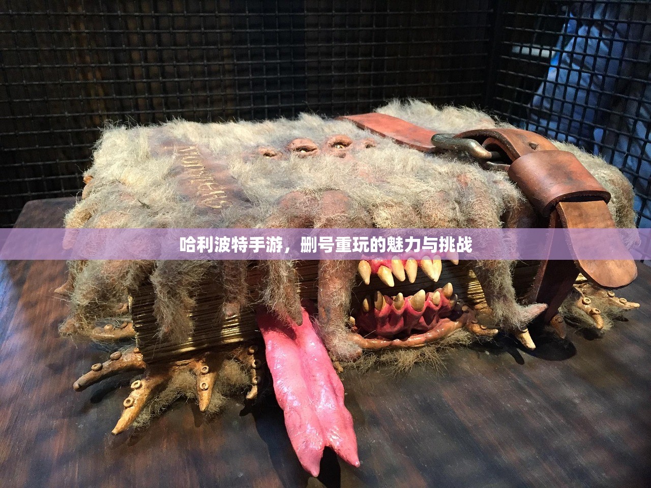 哈利波特手游，删号重玩的魅力与挑战