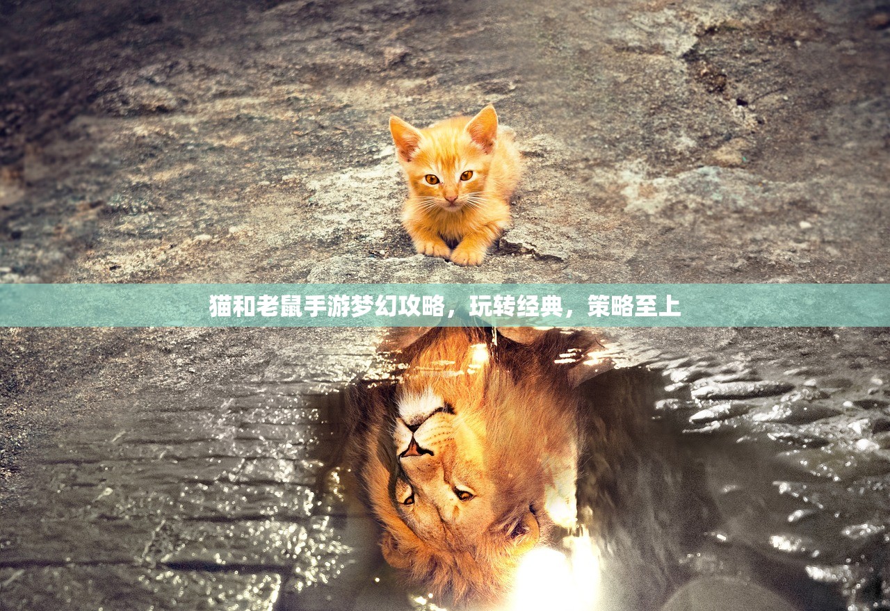猫和老鼠手游梦幻攻略，玩转经典，策略至上