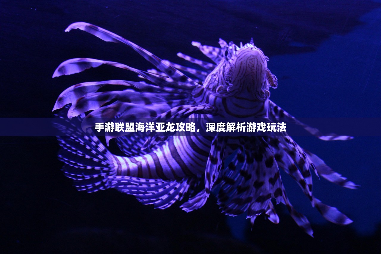 手游联盟海洋亚龙攻略，深度解析游戏玩法