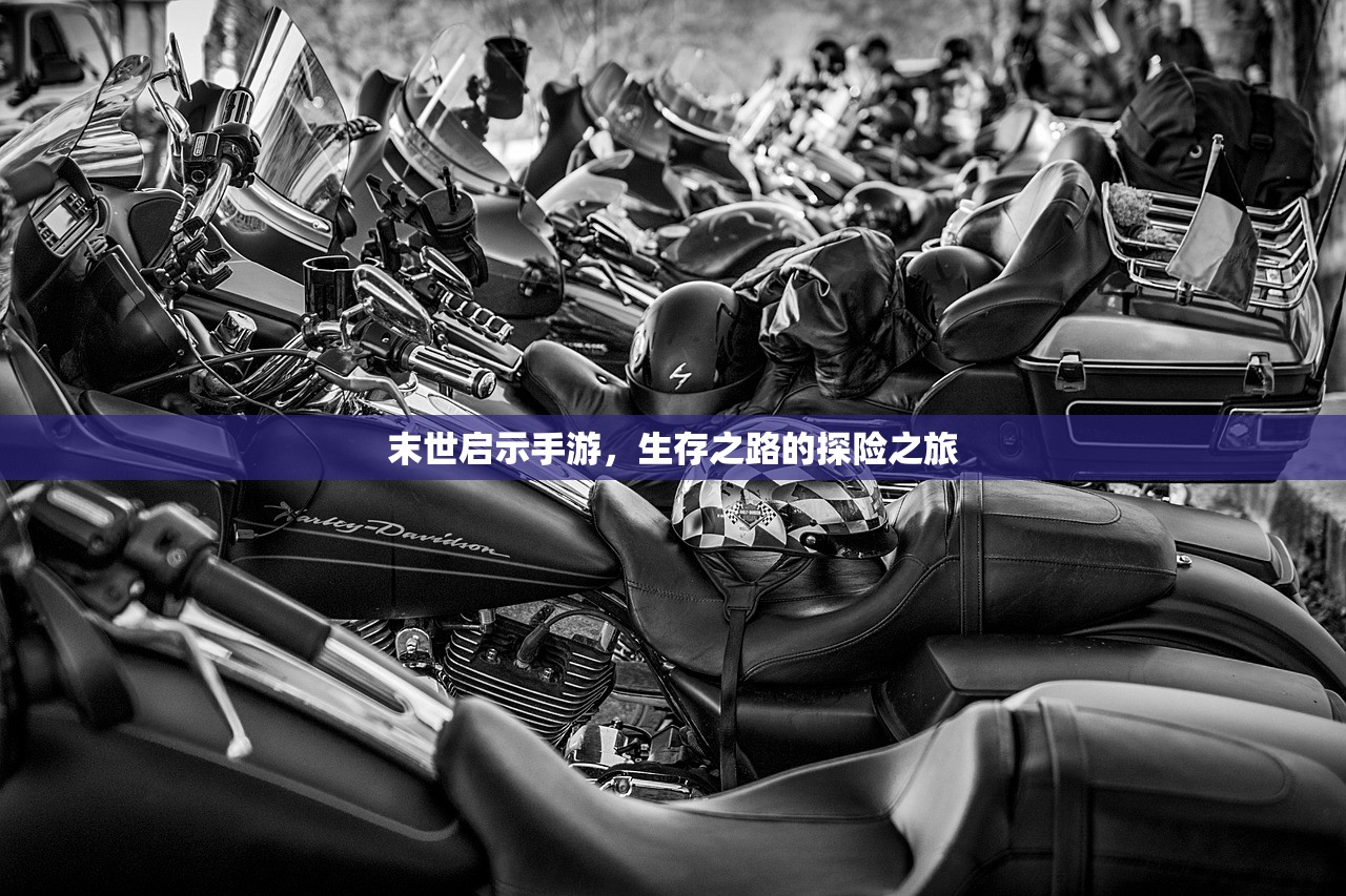 LOL手游主玩狼人，无畏之狼的独特魅力