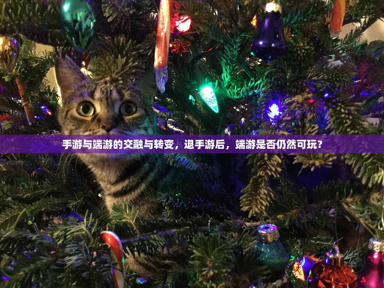 手游与端游的交融与转变，退手游后，端游是否仍然可玩？
