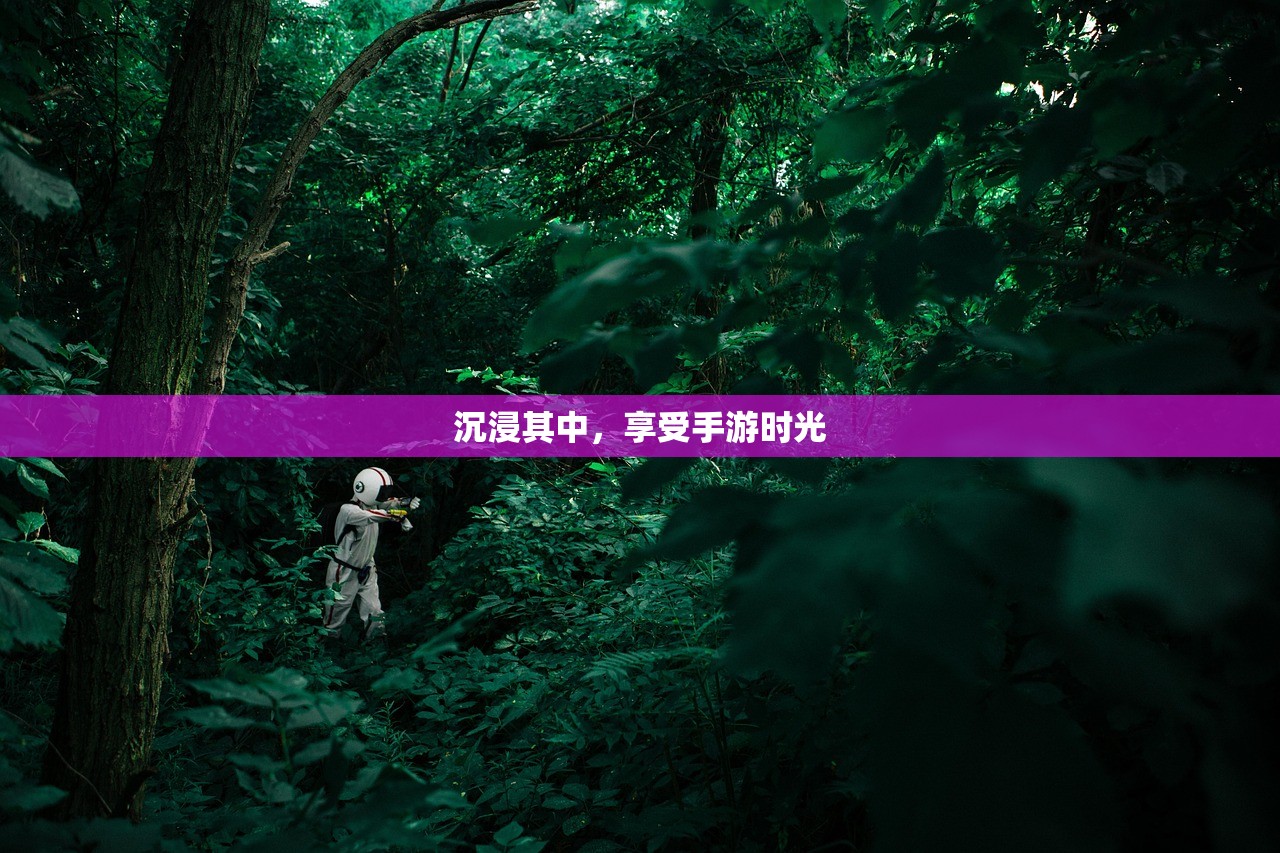 沉浸其中，享受手游时光