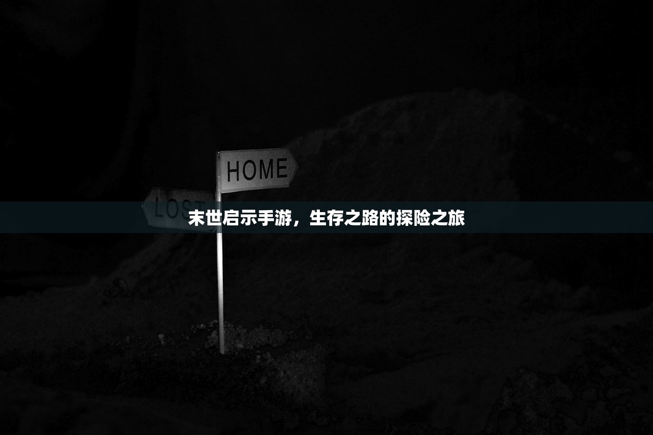 末世启示手游，生存之路的探险之旅
