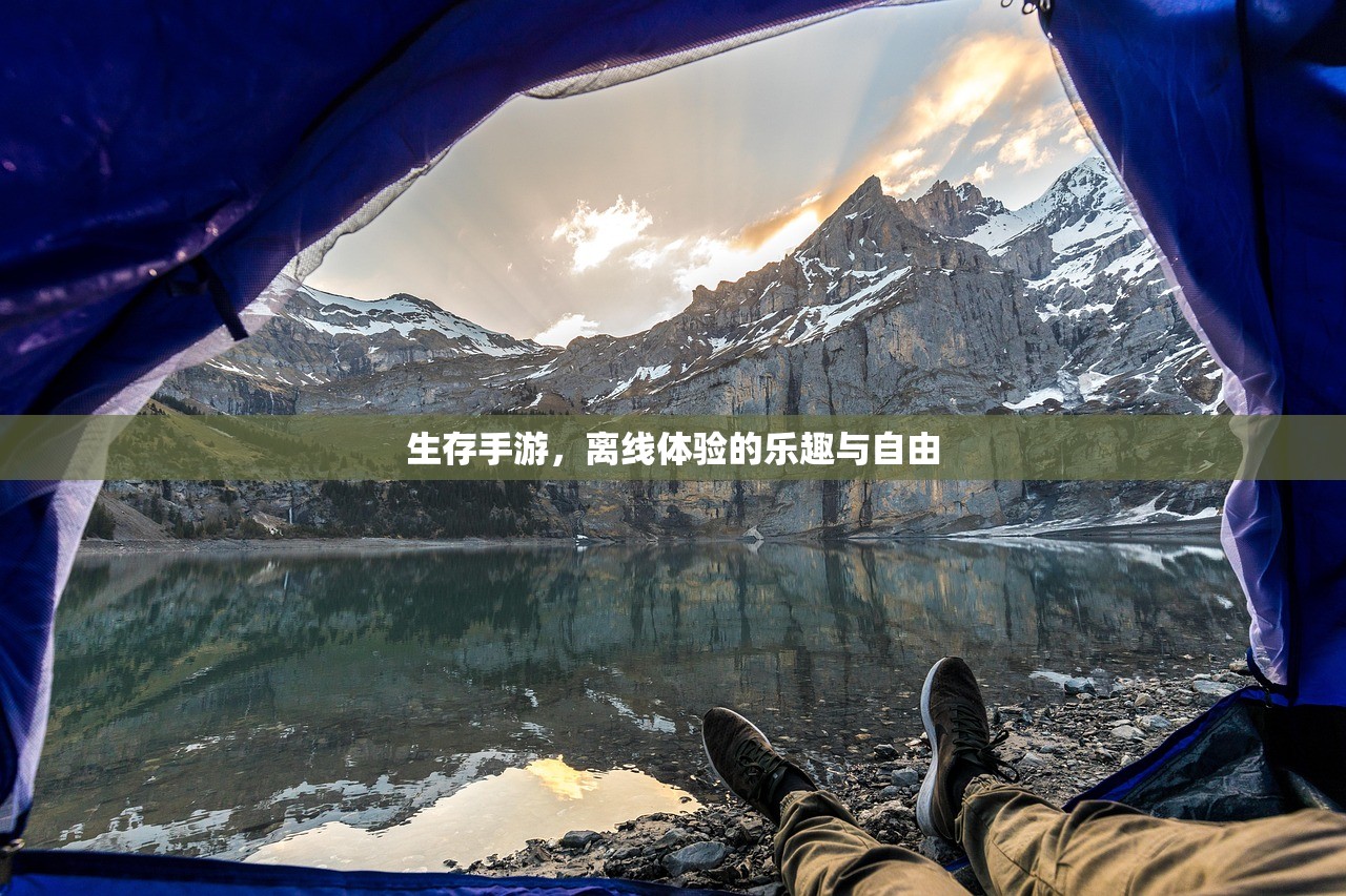 生存手游，离线体验的乐趣与自由