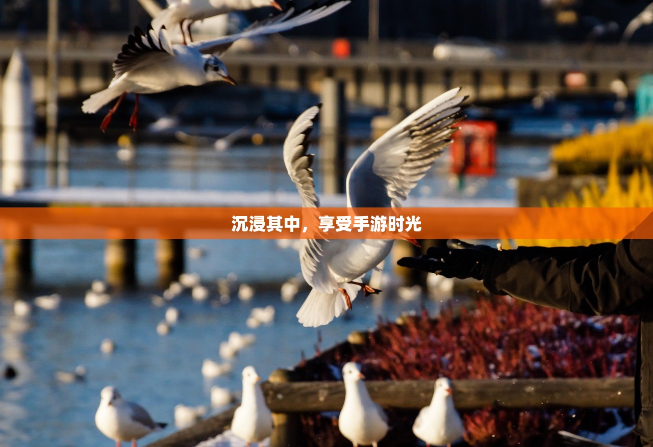 沉浸其中，享受手游时光