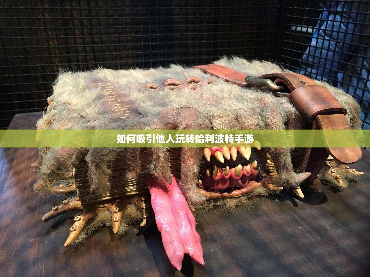 如何吸引他人玩转哈利波特手游