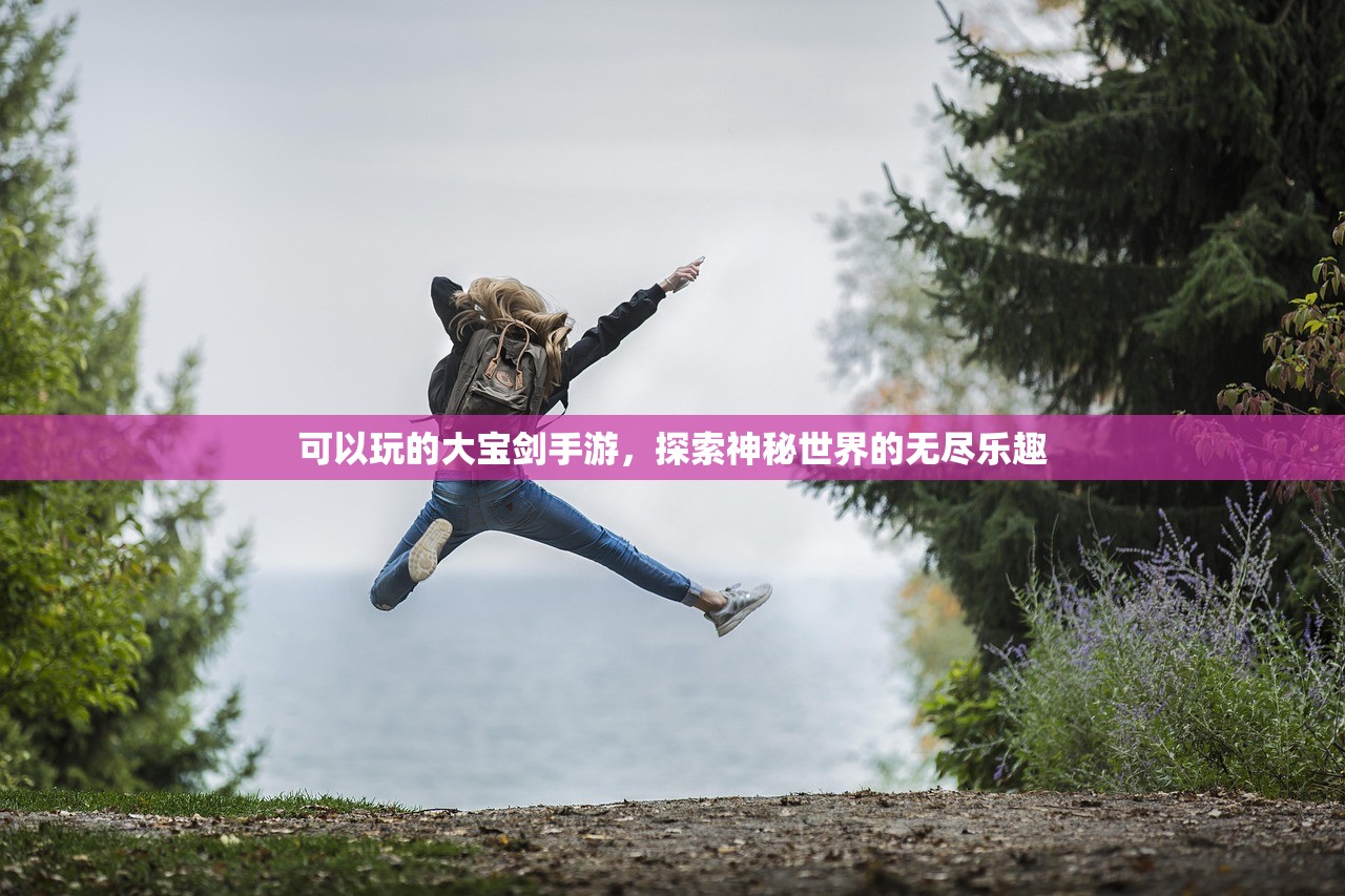 可以玩的大宝剑手游，探索神秘世界的无尽乐趣