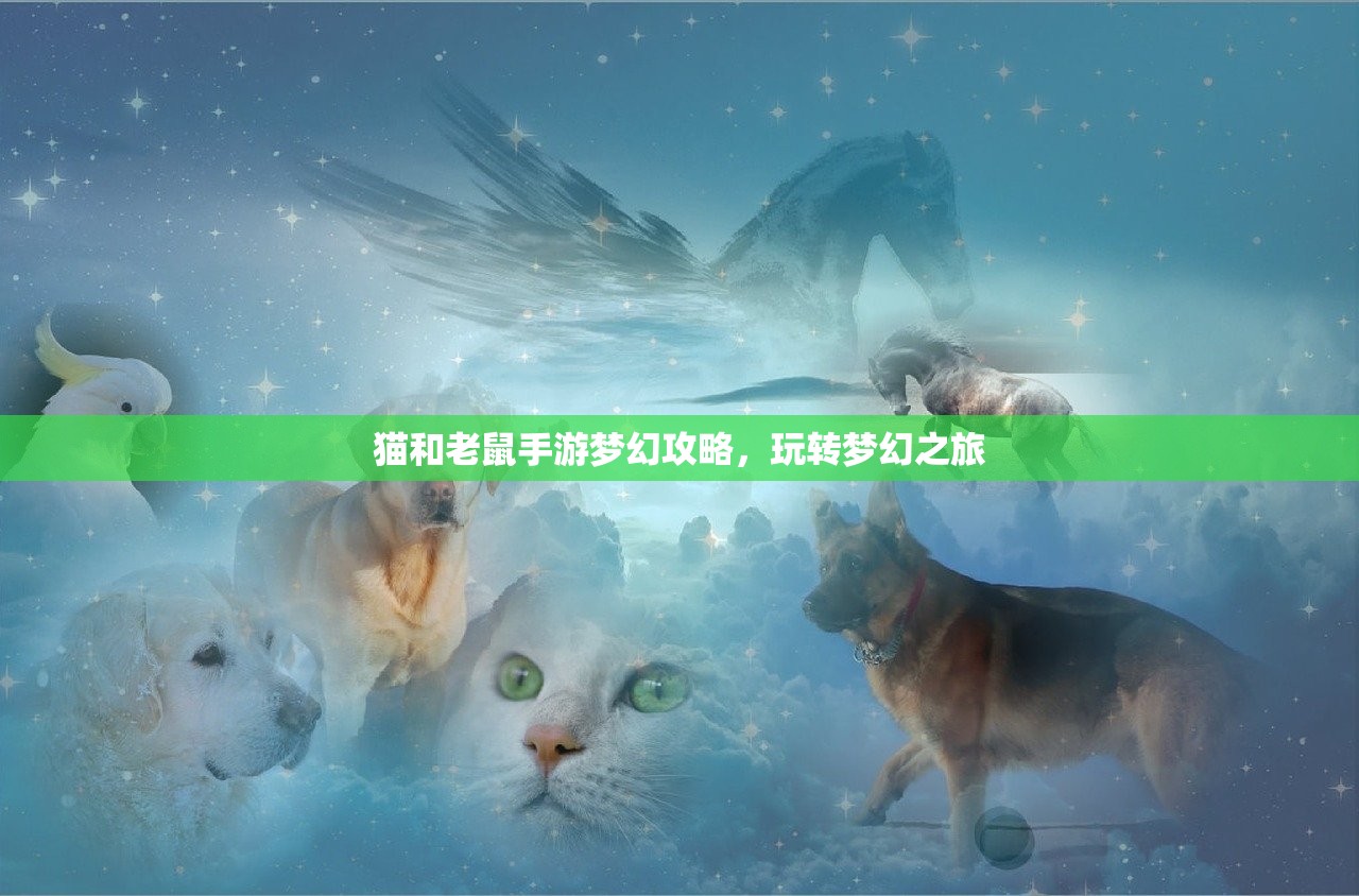 猫和老鼠手游梦幻攻略，玩转梦幻之旅