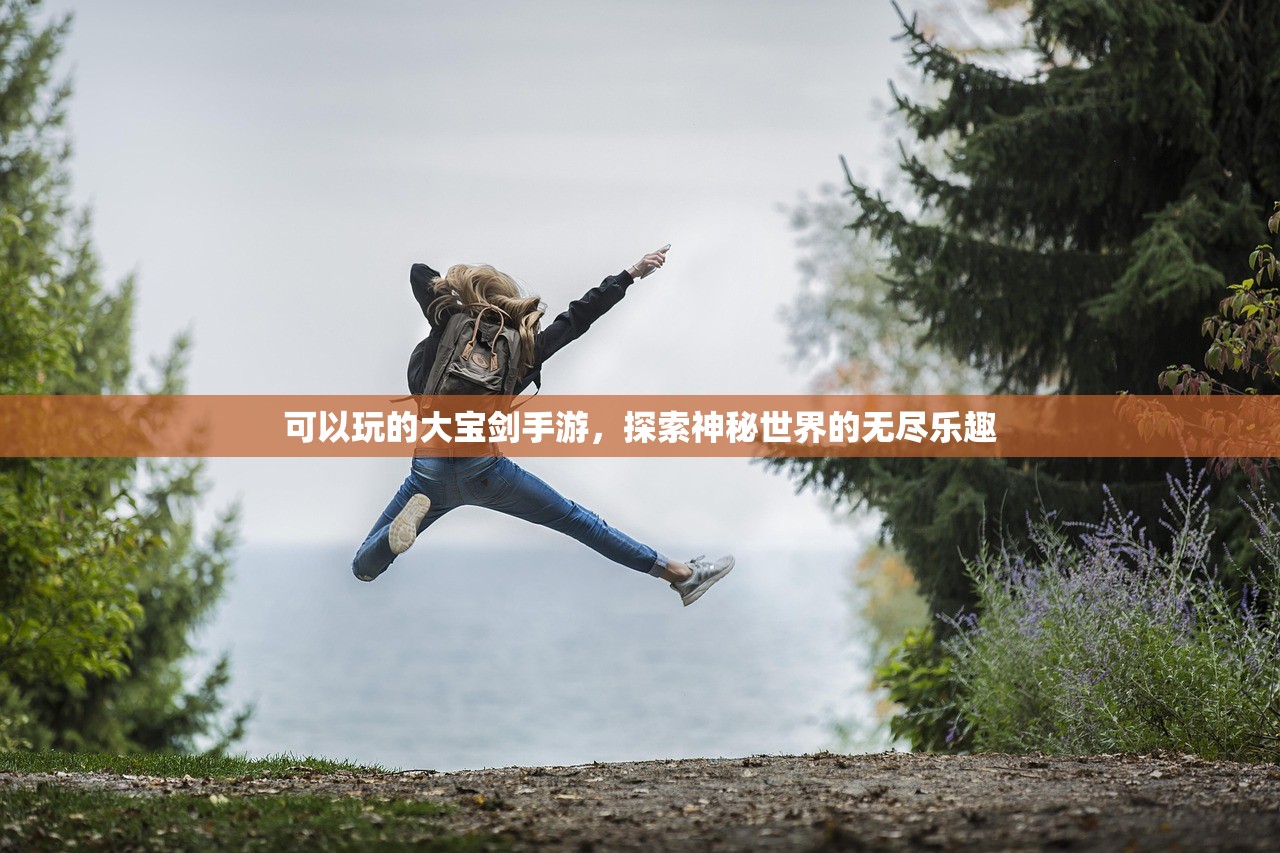 可以玩的大宝剑手游，探索神秘世界的无尽乐趣