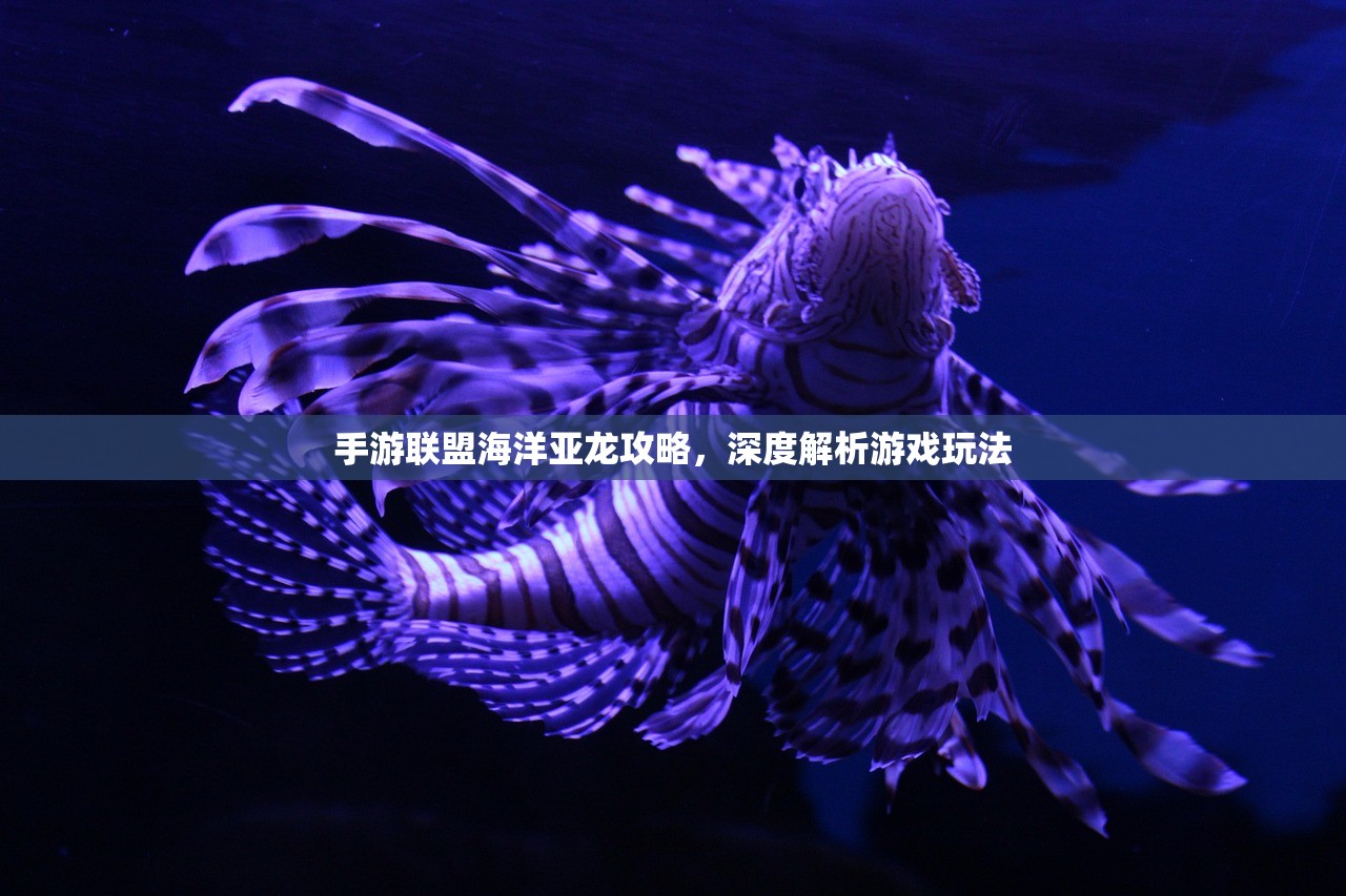 手游联盟海洋亚龙攻略，深度解析游戏玩法