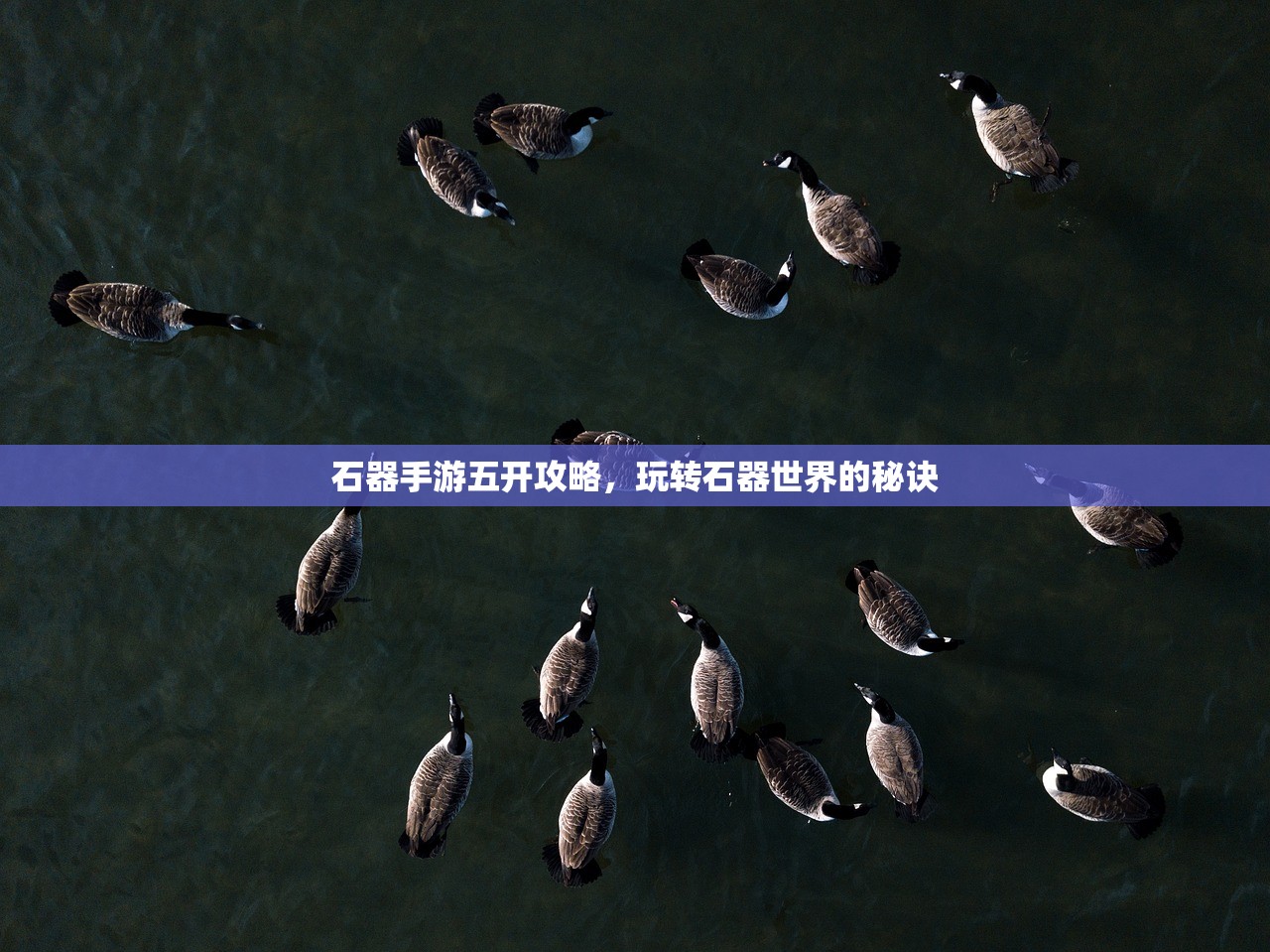 石器手游五开攻略，玩转石器世界的秘诀