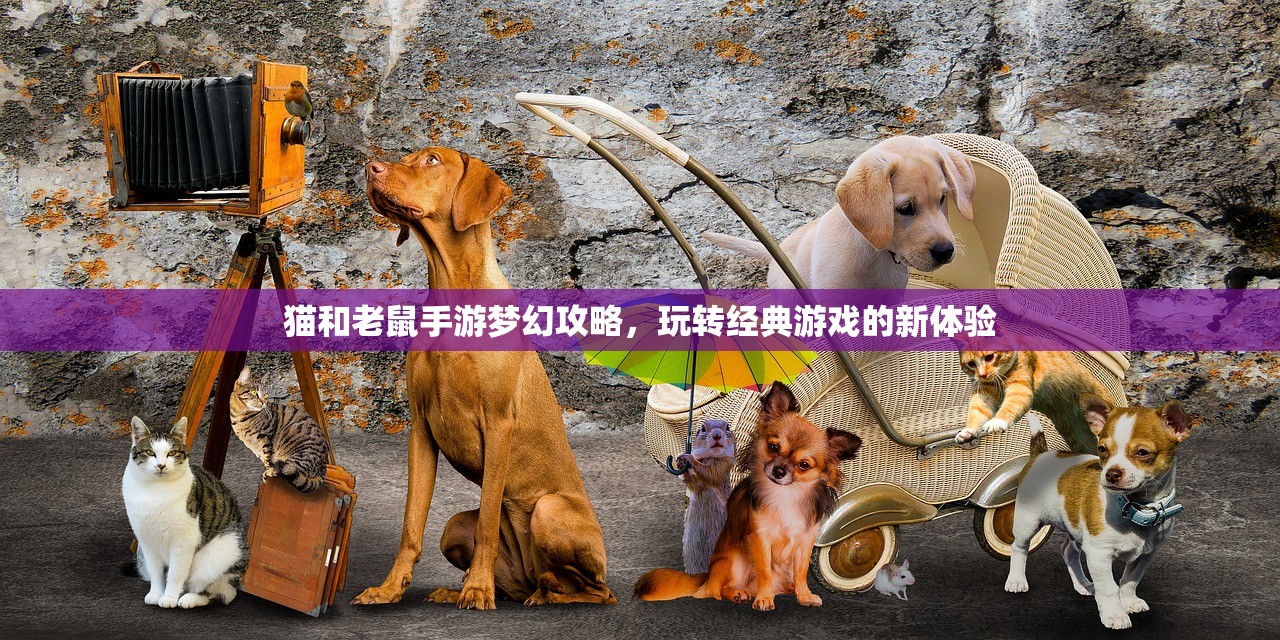 单手玩转韩信，英雄联盟手游的巅峰操作