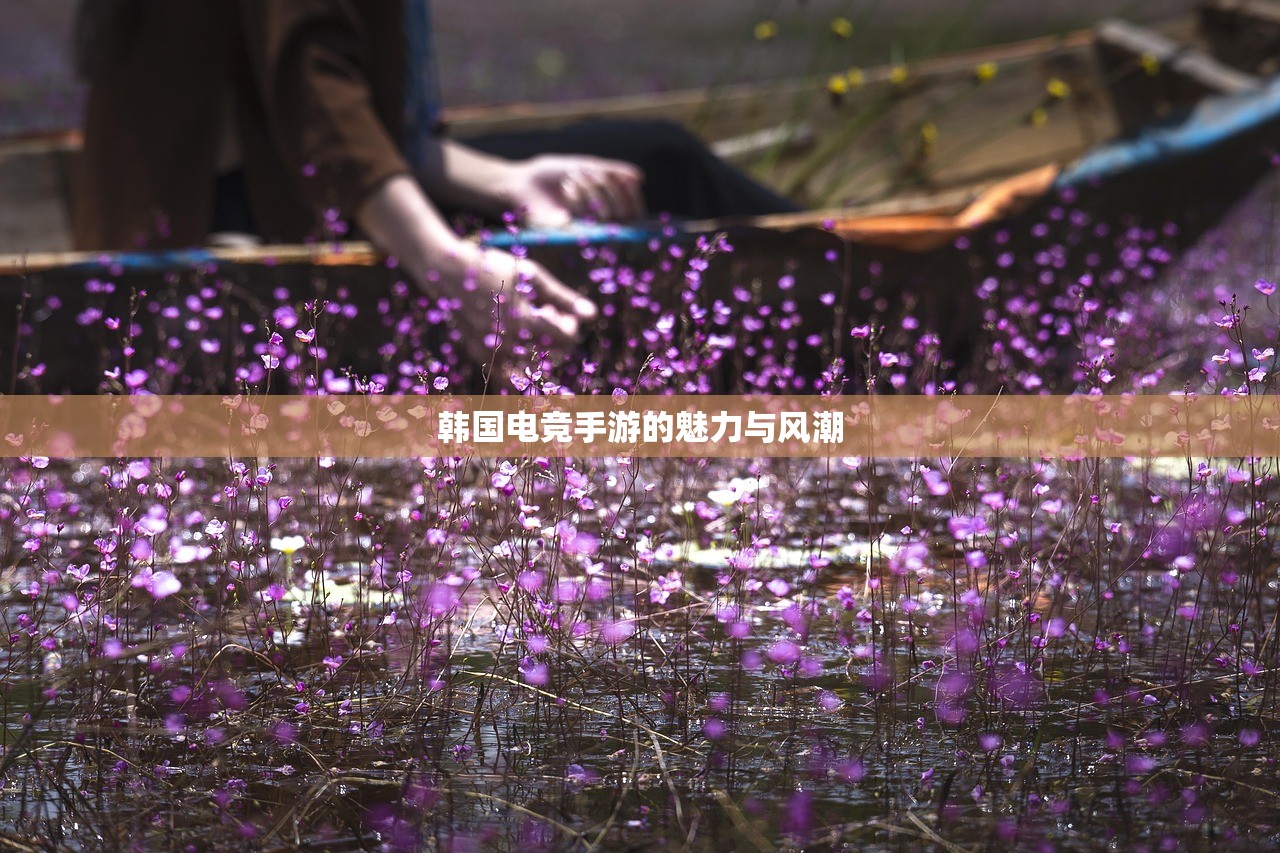 小米10畅玩Apex手游，优化设置与操作技巧全解析