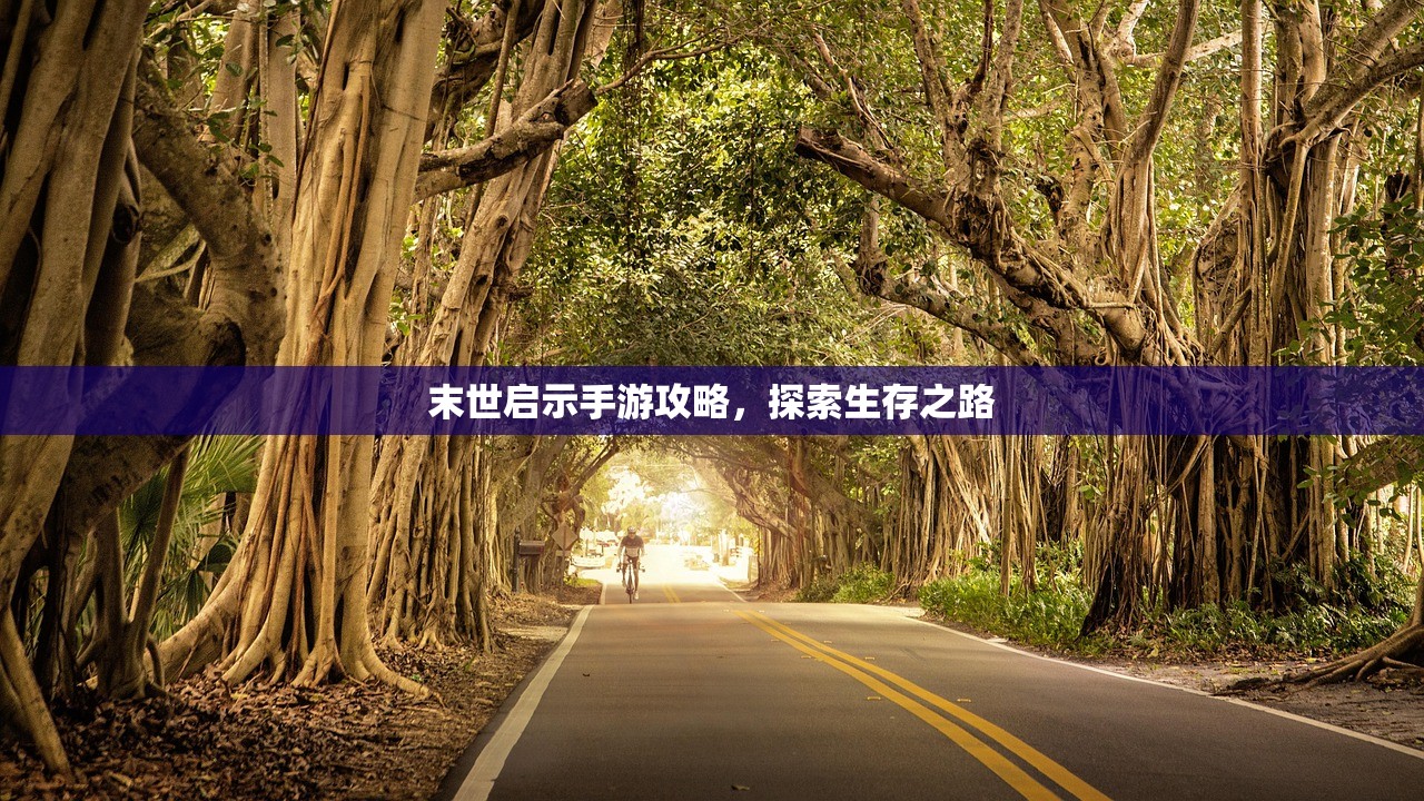 末世启示手游攻略，探索生存之路