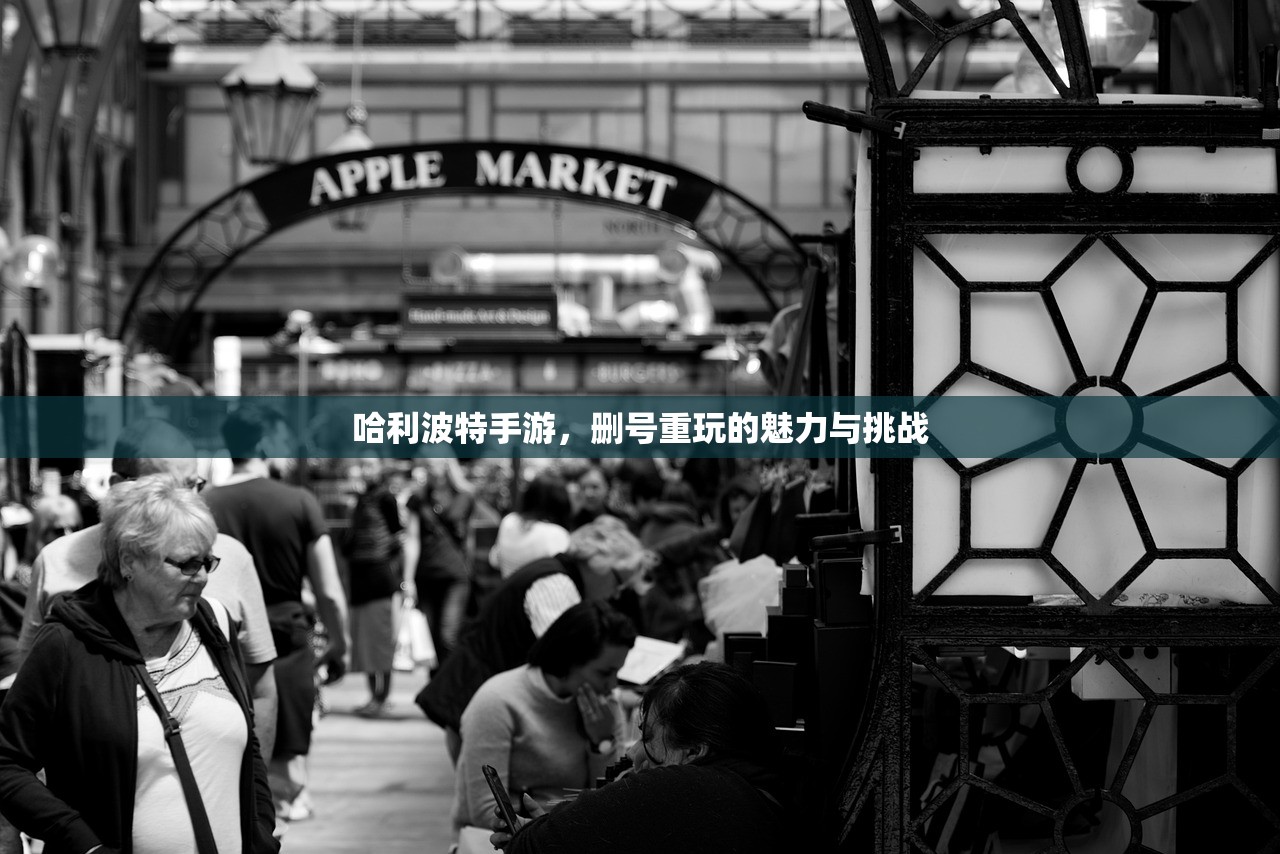哈利波特手游，删号重玩的魅力与挑战