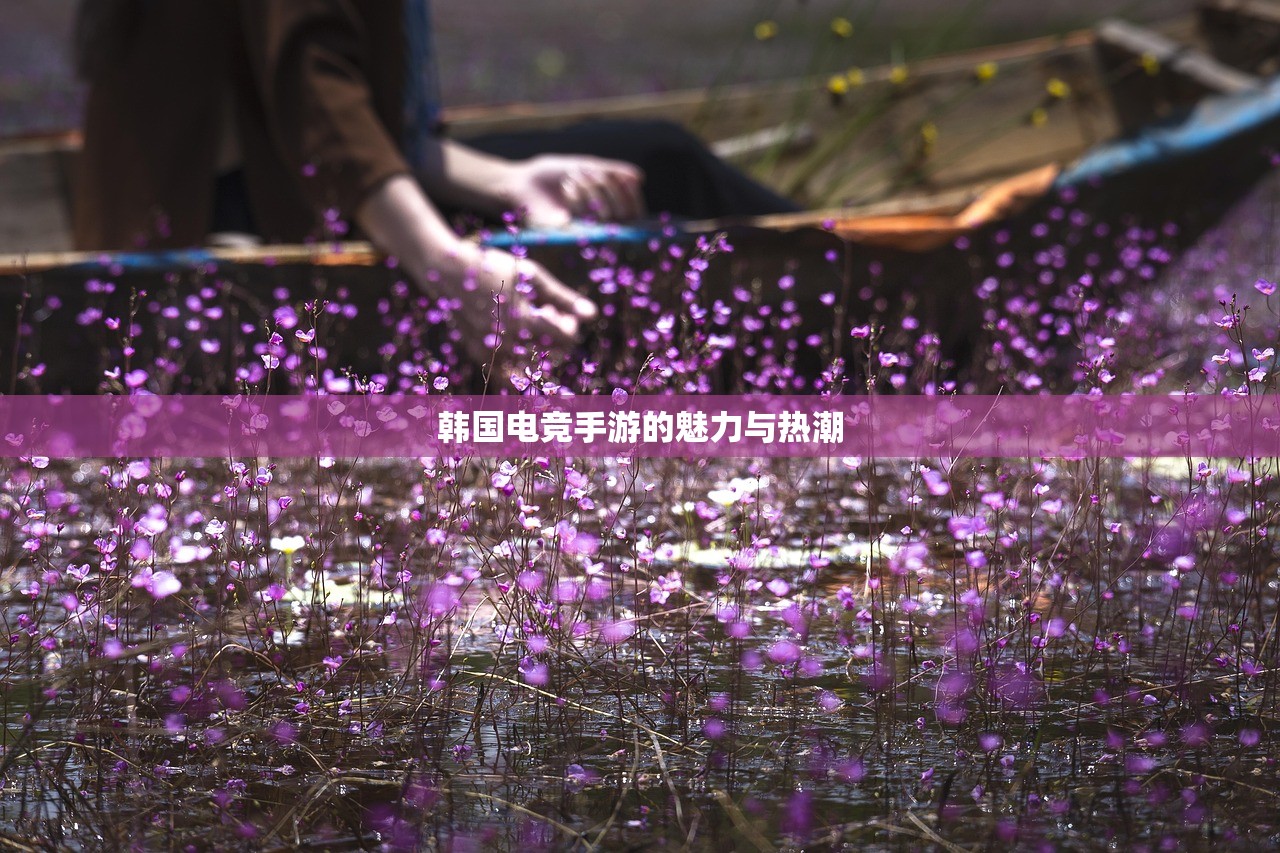 韩国电竞手游的魅力与热潮