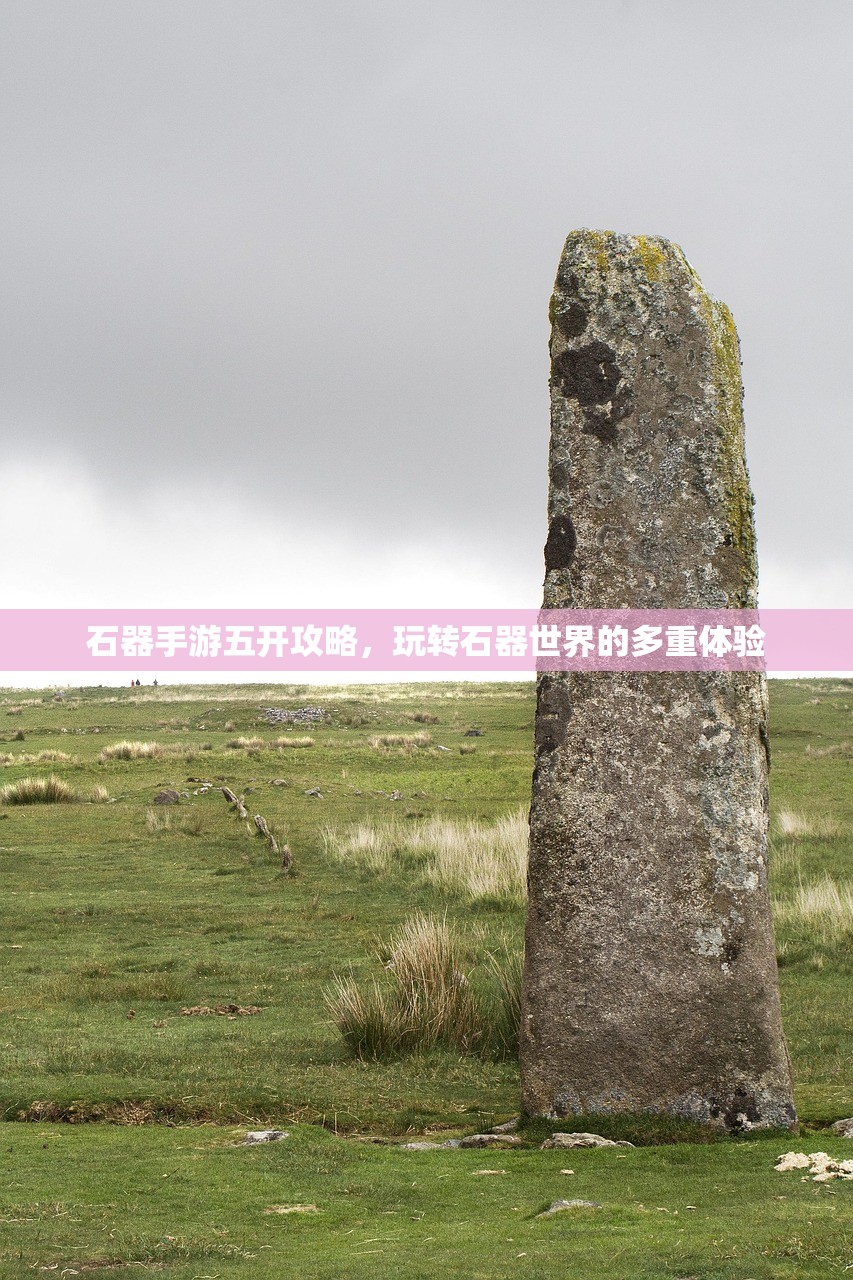 石器手游五开攻略，玩转石器世界的多重体验
