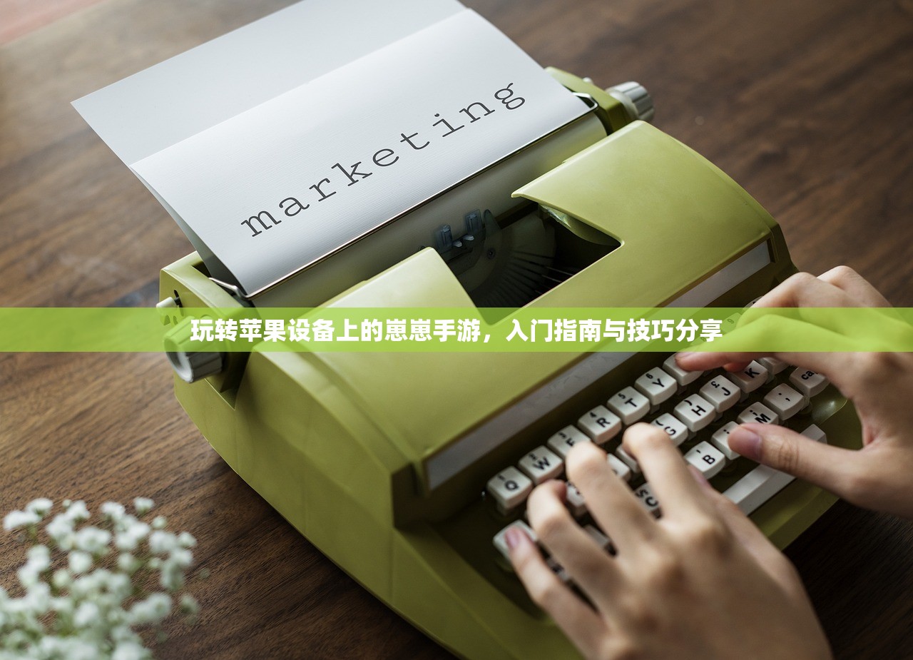 玩转苹果设备上的崽崽手游，入门指南与技巧分享