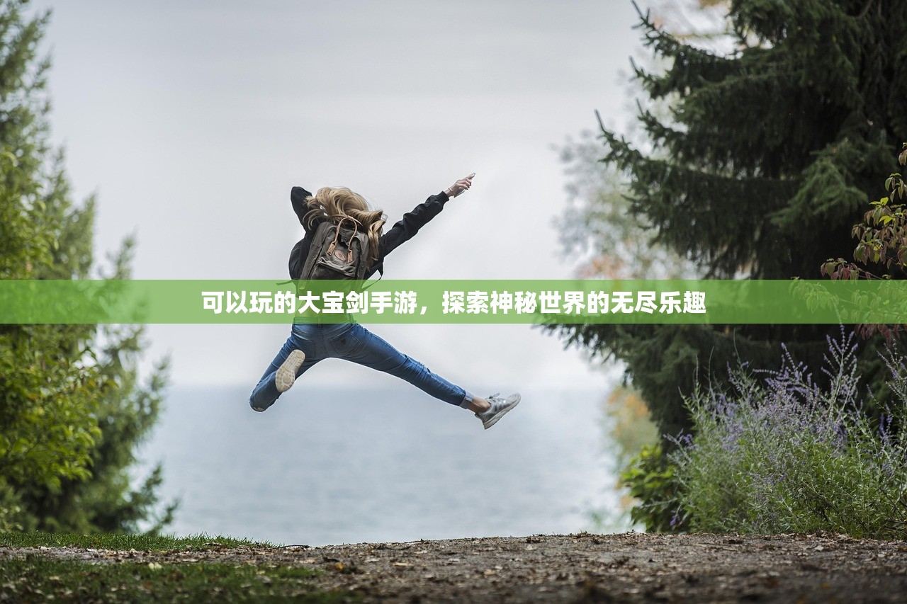可以玩的大宝剑手游，探索神秘世界的无尽乐趣