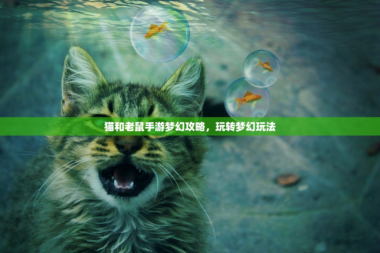 猫和老鼠手游梦幻攻略，玩转梦幻玩法